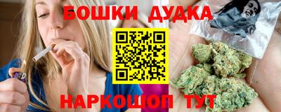 тгк Обь