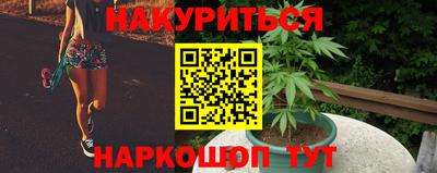 Альфа ПВП Новокубанск