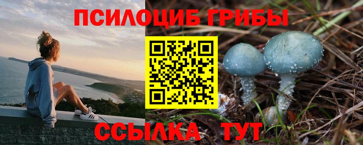 Галлюциногенные грибы Psilocybine cubensis  Вход с VPN  Татарск  Галлюциногенные грибы мухоморы 
